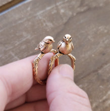 Load image into Gallery viewer, Bird Ring Set - Multiple Colors
